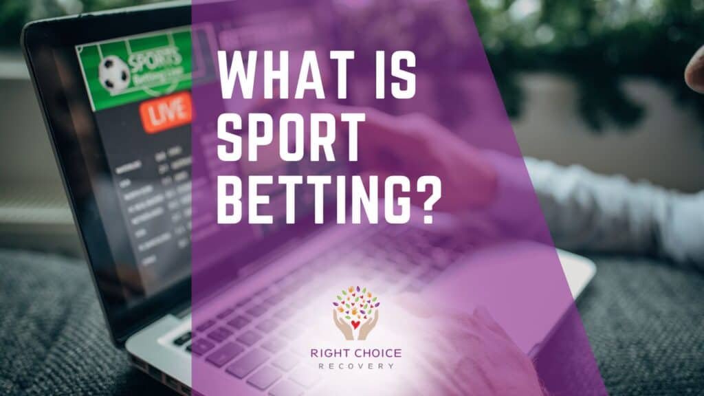 Casinos That Work Without Cookies or Tracking Casinos That Work Without Cookies or Tracking