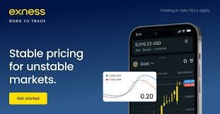 Everything You Need to Know About Exness Forex Demo Account