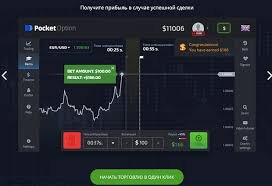Comprehensive Guide to Trade Pocket Option for New Traders
