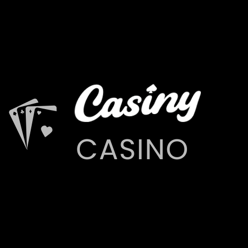 Your Ultimate Guide to Casiny Login