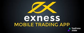 The Comprehensive Guide to Exness MT4 Web Trading