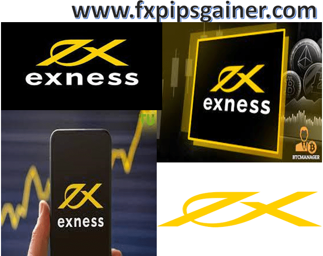 The Comprehensive Guide to Exness MT5 Platform