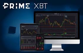 Discover the Potential of PrimeXBT Trading Hub